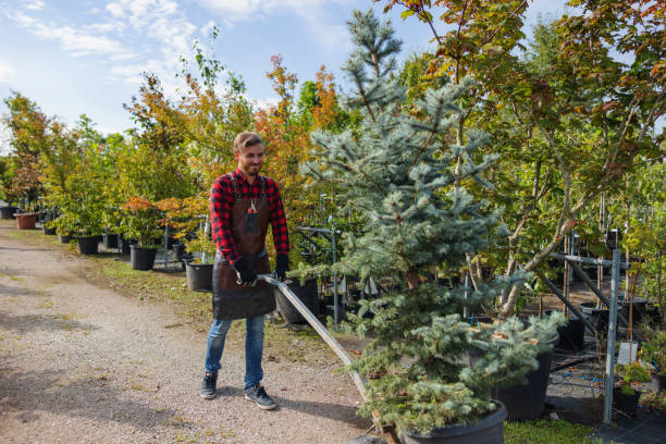 Trusted Upper Exeter, PA Tree Service Experts